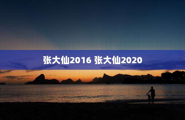 张大仙2016 张大仙2020