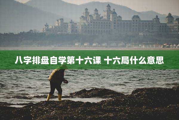 八字排盘自学第十六课 十六局什么意思