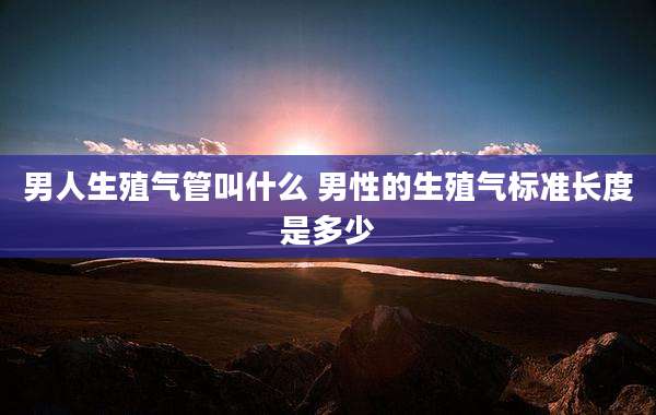 男人生殖气管叫什么 男性的生殖气标准长度是多少