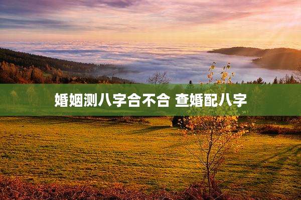 婚姻测八字合不合 查婚配八字