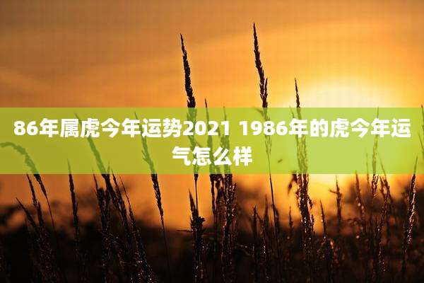 86年属虎今年运势2021 1986年的虎今年运气怎么样
