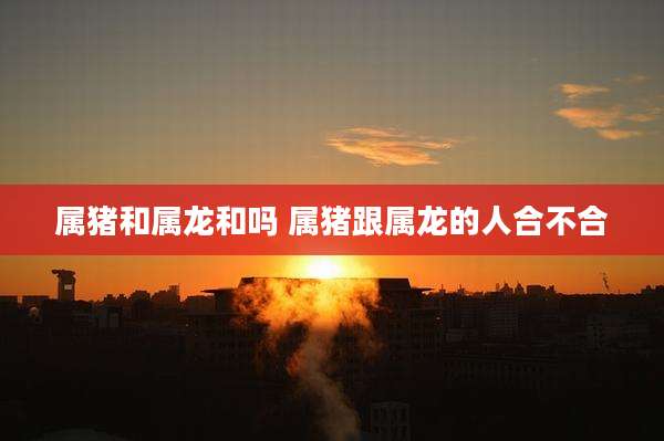 属猪和属龙和吗 属猪跟属龙的人合不合