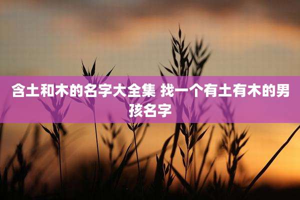 含土和木的名字大全集 找一个有土有木的男孩名字