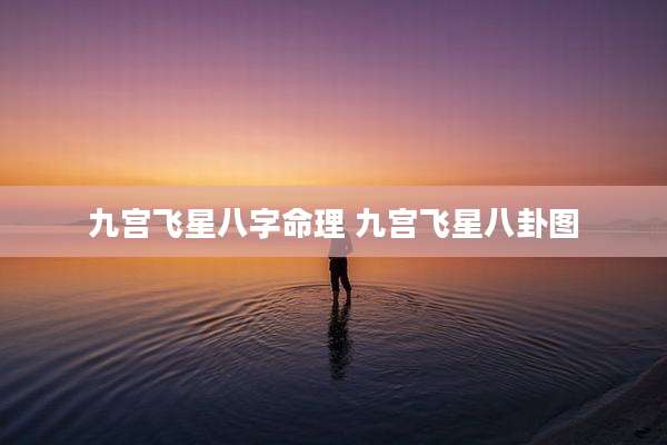 九宫飞星八字命理 九宫飞星八卦图