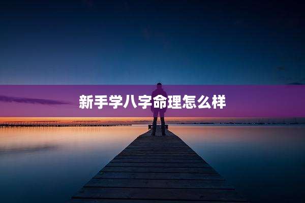 新手学八字命理怎么样