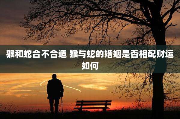 猴和蛇合不合适 猴与蛇的婚姻是否相配财运如何