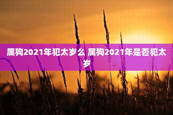 属狗2021年犯太岁么 属狗2021年是否犯太岁