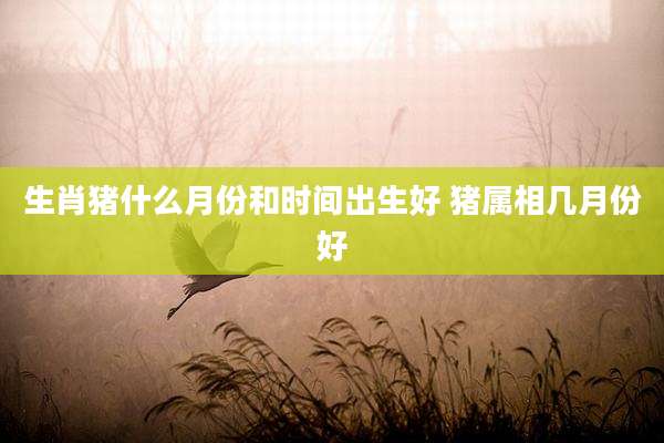 生肖猪什么月份和时间出生好 猪属相几月份好