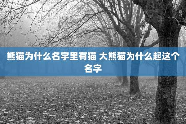 熊猫为什么名字里有猫 大熊猫为什么起这个名字