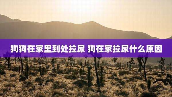狗狗在家里到处拉尿 狗在家拉尿什么原因