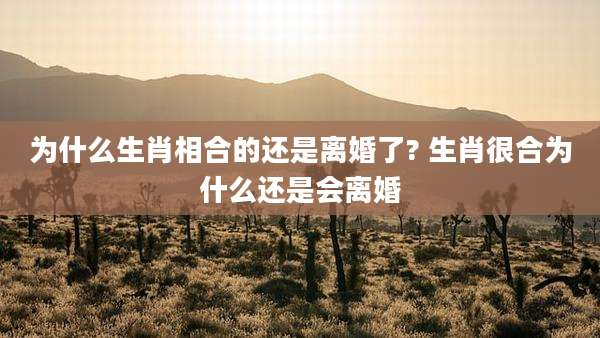 为什么生肖相合的还是离婚了? 生肖很合为什么还是会离婚