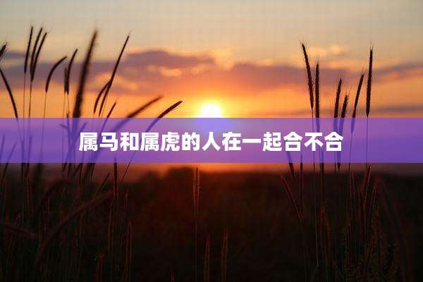 属马和属虎的人在一起合不合