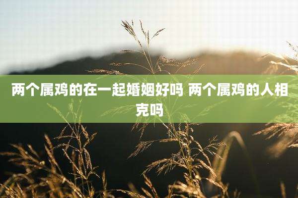 两个属鸡的在一起婚姻好吗 两个属鸡的人相克吗
