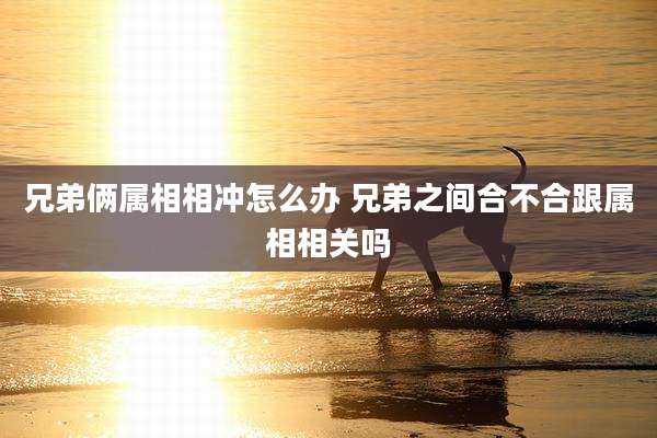 兄弟俩属相相冲怎么办 兄弟之间合不合跟属相相关吗