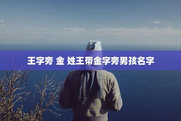 王字旁 金 姓王带金字旁男孩名字
