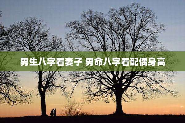男生八字看妻子 男命八字看配偶身高