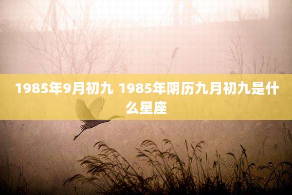 1985年9月初九 1985年阴历九月初九是什么星座