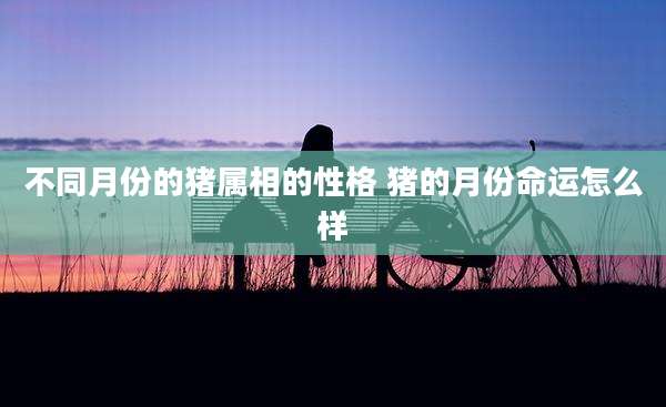 不同月份的猪属相的性格 猪的月份命运怎么样