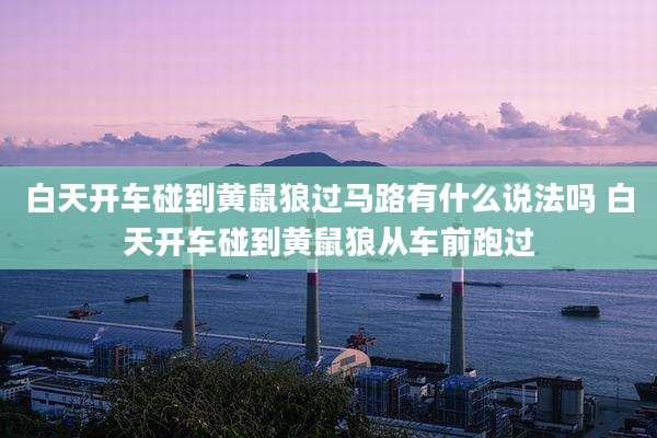 白天开车碰到黄鼠狼过马路有什么说法吗 白天开车碰到黄鼠狼从车前跑过