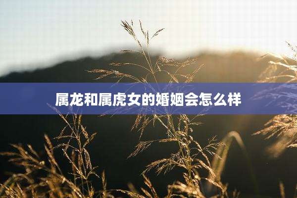 属龙和属虎女的婚姻会怎么样