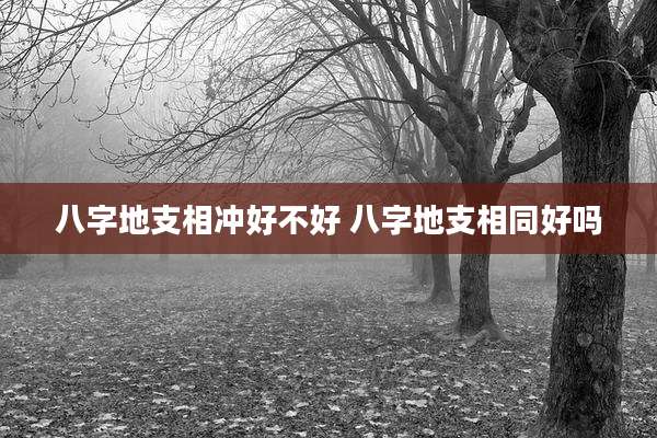 八字地支相冲好不好 八字地支相同好吗