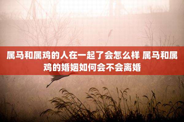 属马和属鸡的人在一起了会怎么样 属马和属鸡的婚姻如何会不会离婚