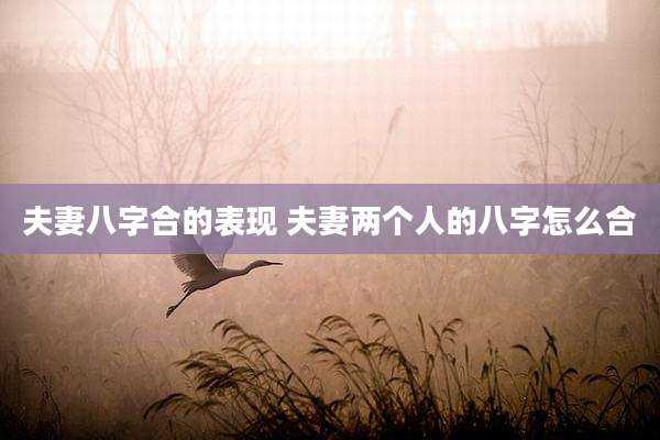 夫妻八字合的表现 夫妻两个人的八字怎么合
