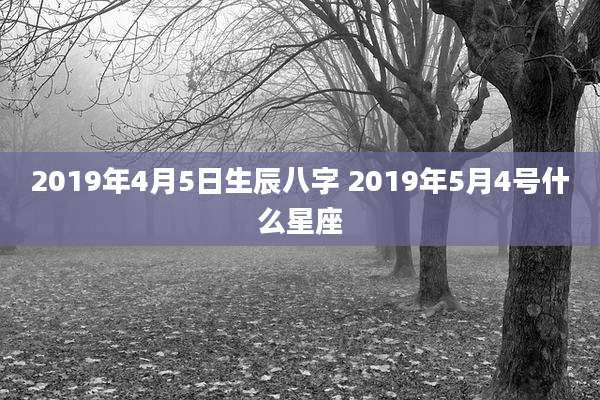 2019年4月5日生辰八字 2019年5月4号什么星座