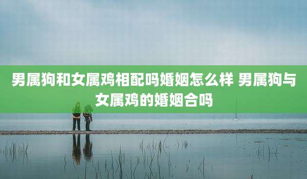 男属狗和女属鸡相配吗婚姻怎么样 男属狗与女属鸡的婚姻合吗