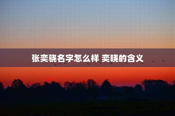 张奕骁名字怎么样 奕晓的含义