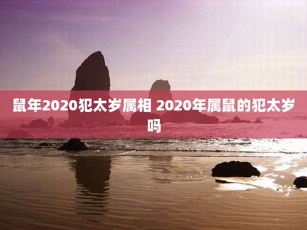 鼠年2020犯太岁属相 2020年属鼠的犯太岁吗