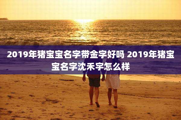2019年猪宝宝名字带金字好吗 2019年猪宝宝名字沈禾宇怎么样