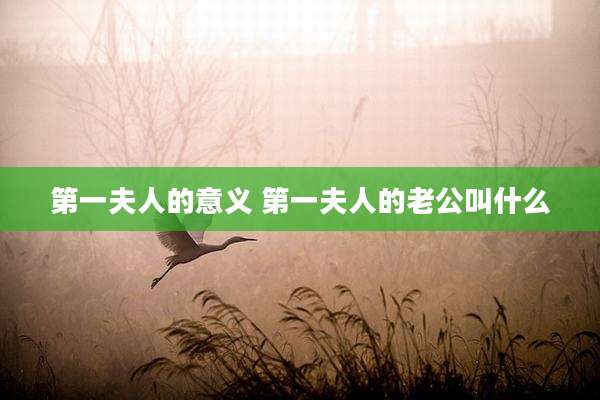 第一夫人的意义 第一夫人的老公叫什么