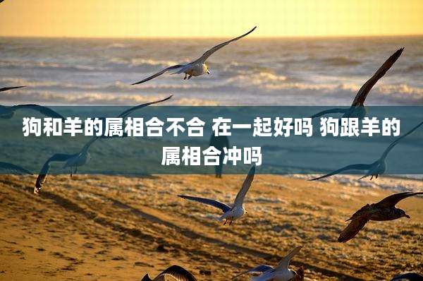 狗和羊的属相合不合 在一起好吗 狗跟羊的属相合冲吗