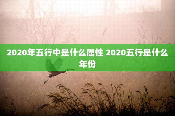2020年五行中是什么属性 2020五行是什么年份