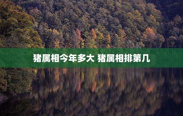猪属相今年多大 猪属相排第几