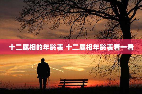 十二属相的年龄表 十二属相年龄表看一看
