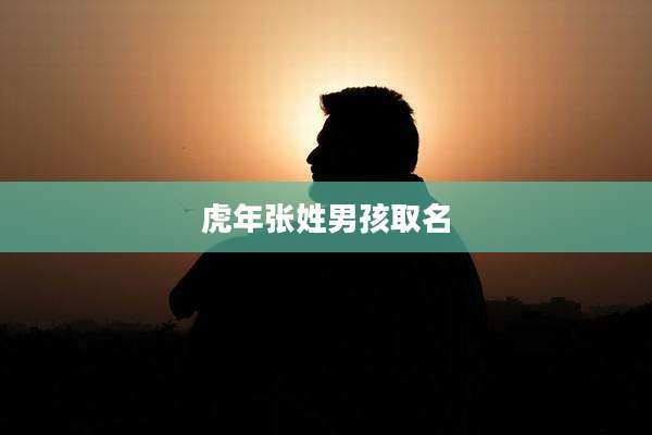 虎年张姓男孩取名