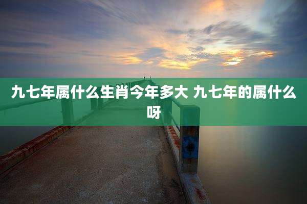 九七年属什么生肖今年多大 九七年的属什么呀