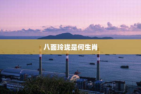 八面玲珑是何生肖