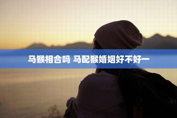 马猴相合吗 马配猴婚姻好不好一