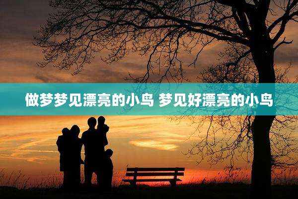 做梦梦见漂亮的小鸟 梦见好漂亮的小鸟
