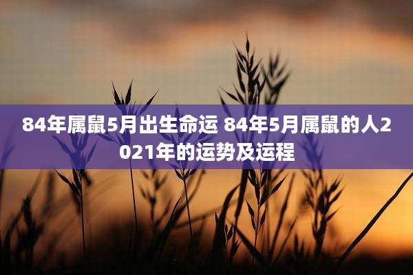 84年属鼠5月出生命运 84年5月属鼠的人2021年的运势及运程
