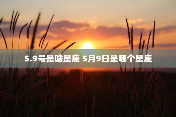 5.9号是啥星座 5月9日是哪个星座