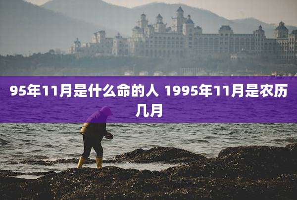 95年11月是什么命的人 1995年11月是农历几月