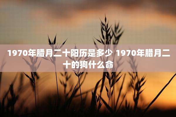 1970年腊月二十阳历是多少 1970年腊月二十的狗什么命