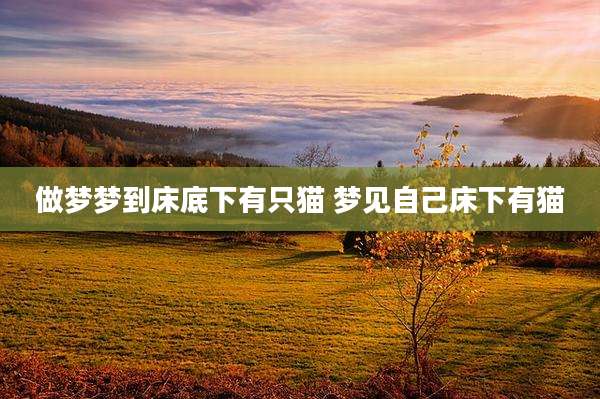 做梦梦到床底下有只猫 梦见自己床下有猫