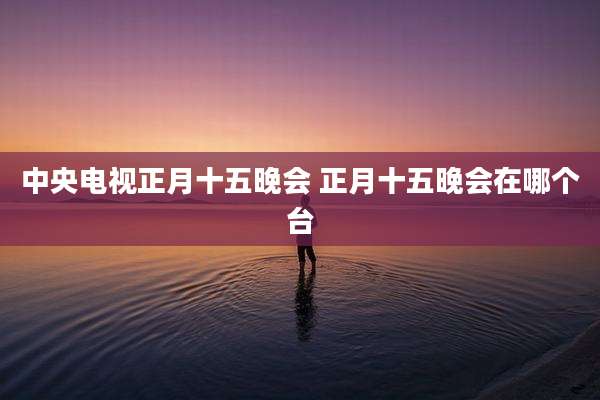 中央电视正月十五晚会 正月十五晚会在哪个台