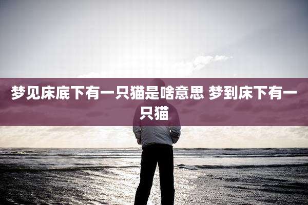 梦见床底下有一只猫是啥意思 梦到床下有一只猫