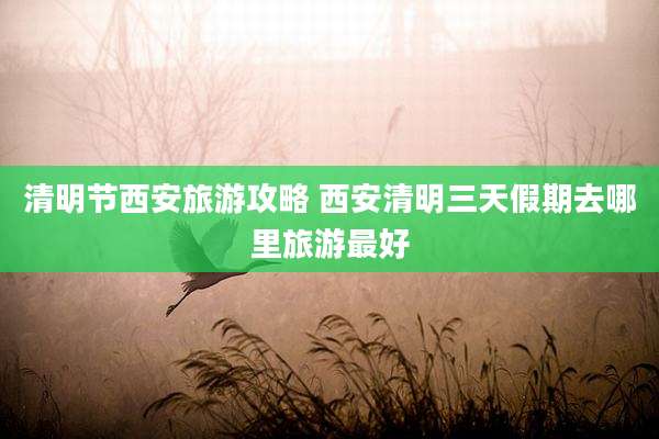 清明节西安旅游攻略 西安清明三天假期去哪里旅游最好